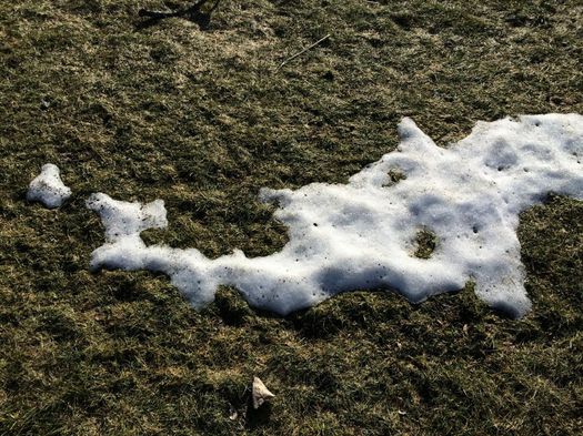 melting snow sunny green grass