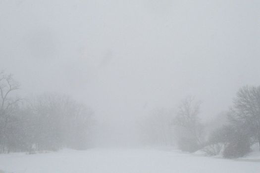 Buckingham Pond blizzard 2017-03-14