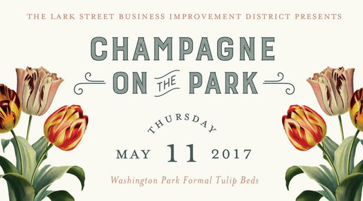 champagne on the park 2017 poster image