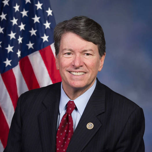 John Faso Congressional portrait