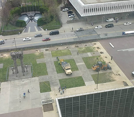 trees cut down ESP labyrinth corner