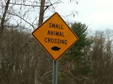 small animal crossing sign turtle Bethlehem