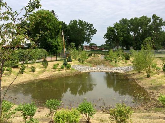 Albany Woodlawn Park storm water wetland