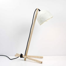 ecovative grow-it-yourself lamp