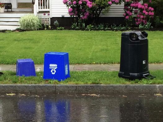 empty trash cans along Albany residential street