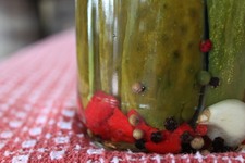 Puckers pickles in a jar closeup