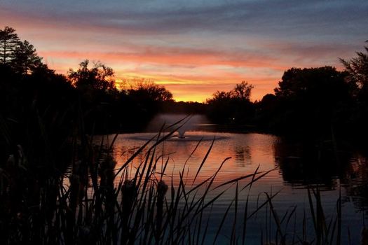Buckingham Pond peachy sunset 2017-09-21