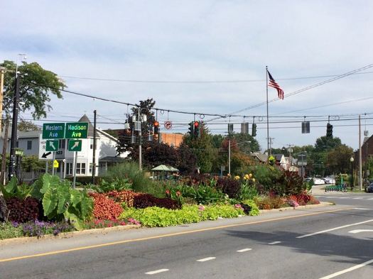 Madison Ave Western Ave plant beds