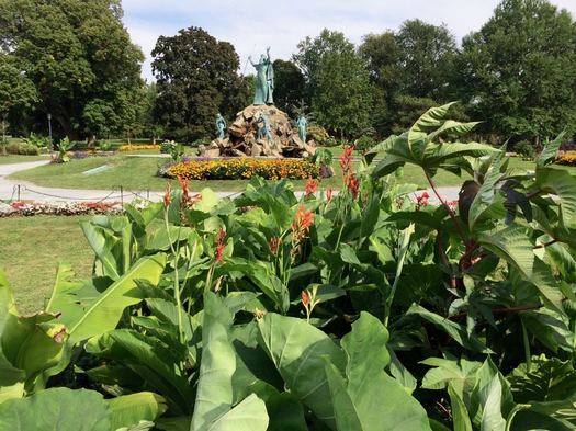 Washington Park tropical plants