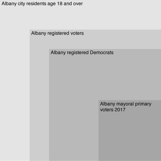 albany mayoral primary 2017 voter participation chart publish