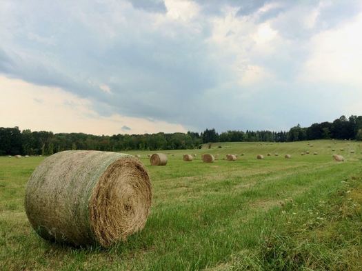 hay field Krumkill Road 2017-09-05