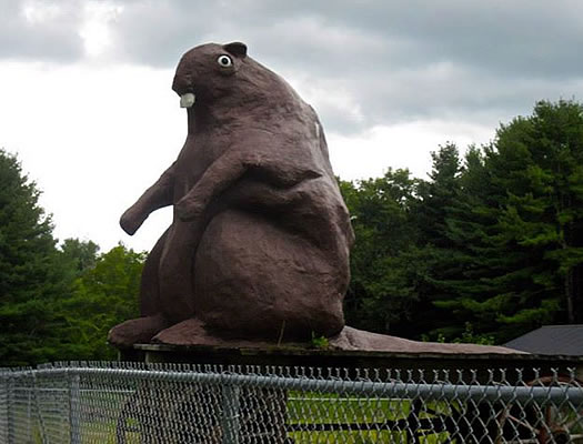 12_hours_berkshires_giant_beaver.jpg