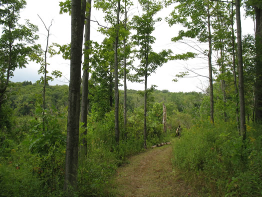 huyck trail