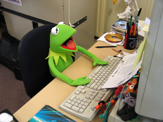 AOA Kermit.jpg