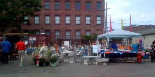 Albany Flea.jpg