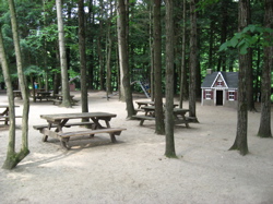 Animal land picnic area.jpg