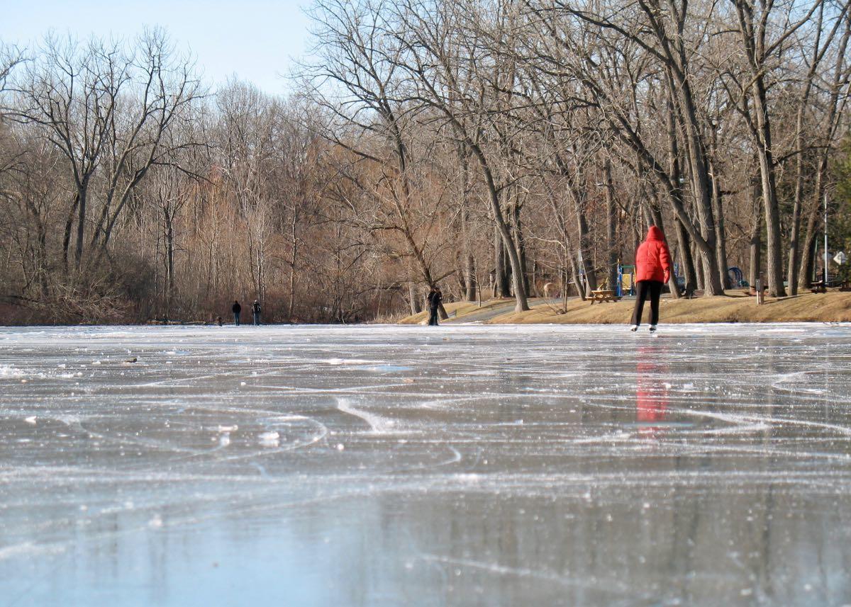 Buckingham Pond ice skater background