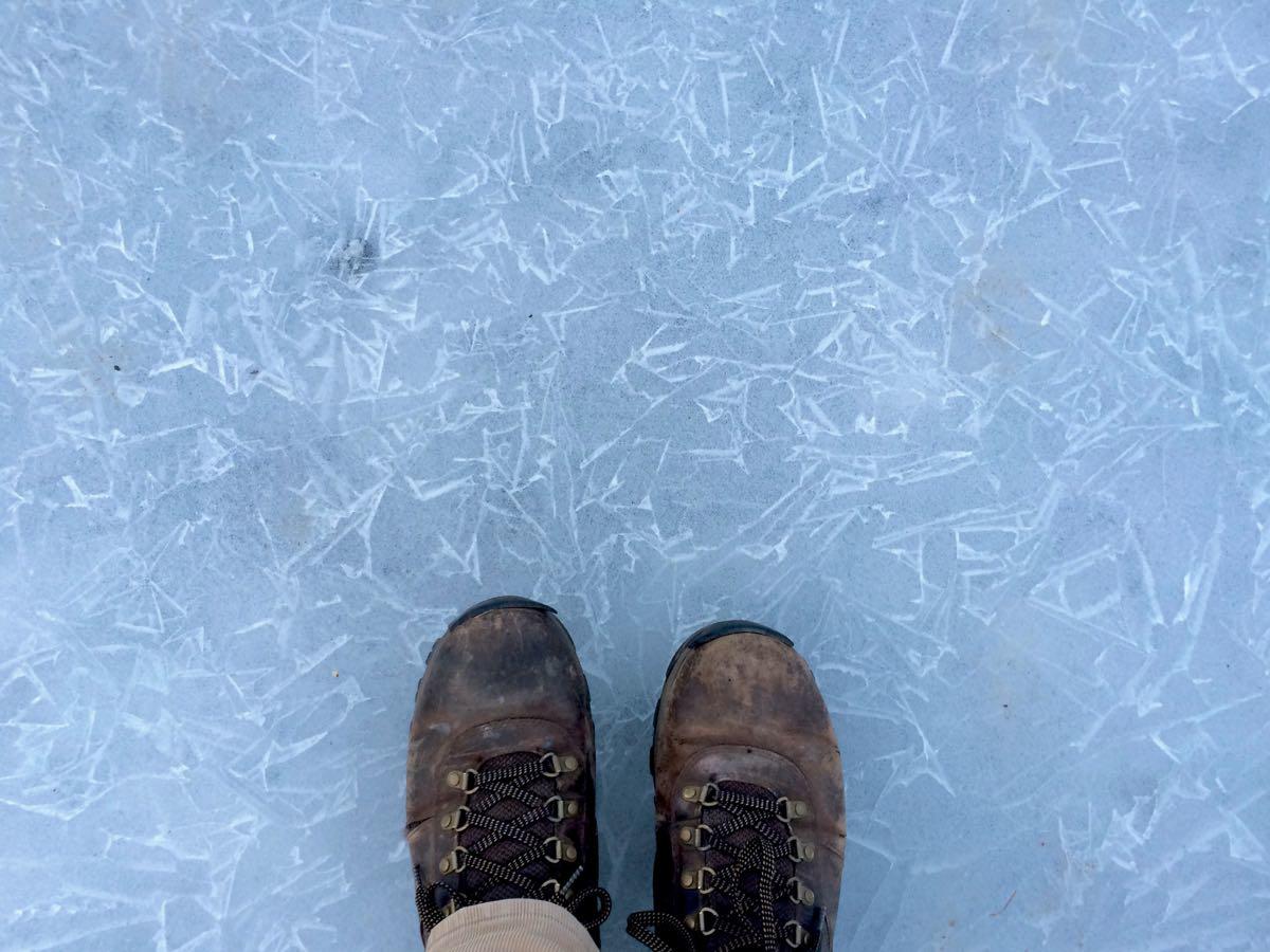 Buckingham Pond shore ice 2018-01-29