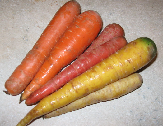 Carrots.jpg