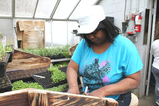 Horticulture Center Job Training