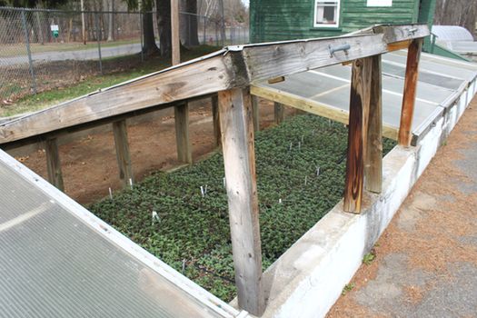 Horticulture Center Raised Bed Cover