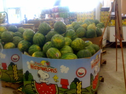 Deli warehouse watermelon.jpg