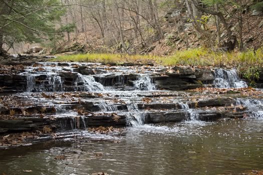 Duanesburg_falls_at_christmas_sanctuary.jpg