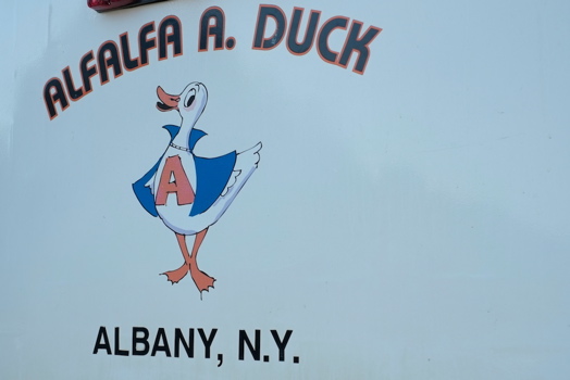 Duck logo.jpg