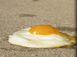 Egg on sidewalk.jpg