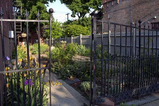 Emily_Menn_Troy_urban_garden_gate_looking_in.jpg