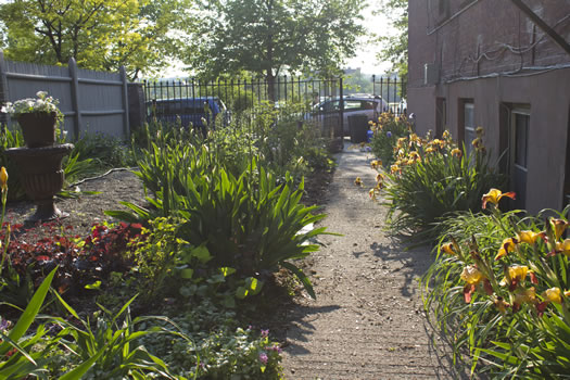 Emily_Menn_Troy_urban_garden_walkway.jpg