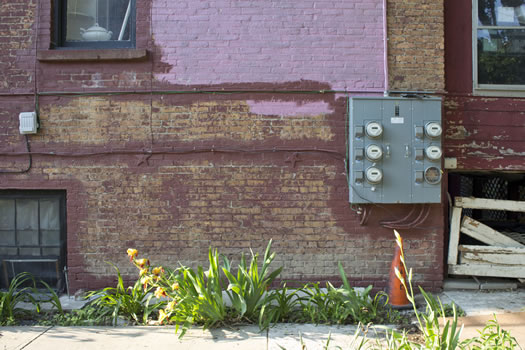 Emily_Menn_Troy_urban_garden_wall.jpg