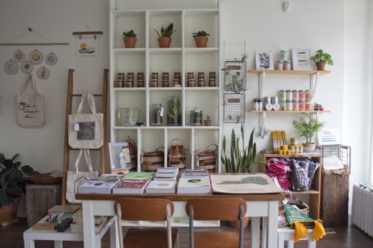 Fort_Orange_General_Store_2015_interior_wide.jpg