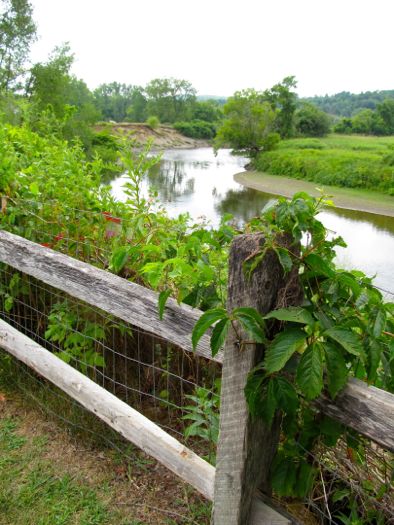 Great Barrington -River Bend Cafe View.jpg