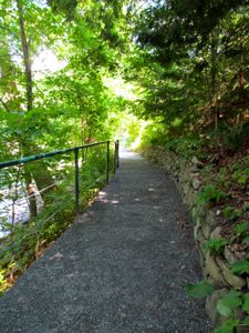 Great Barrington Nature trail.jpg