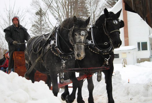 Hanford Mills Horse Drawn