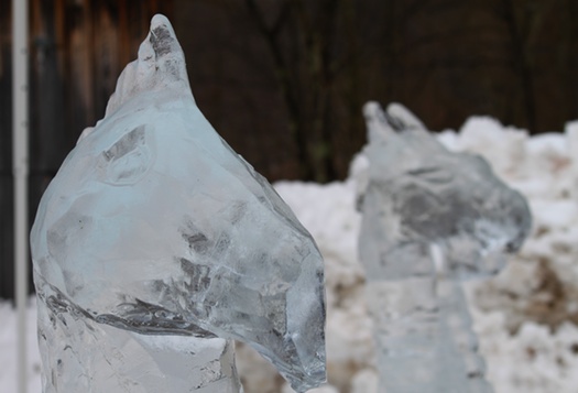 Hanford Mills Ice Sculpture