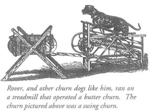 Hanford Mills newsletter dog treadmill illustration