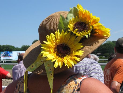 HatDay - Sunflower.jpg