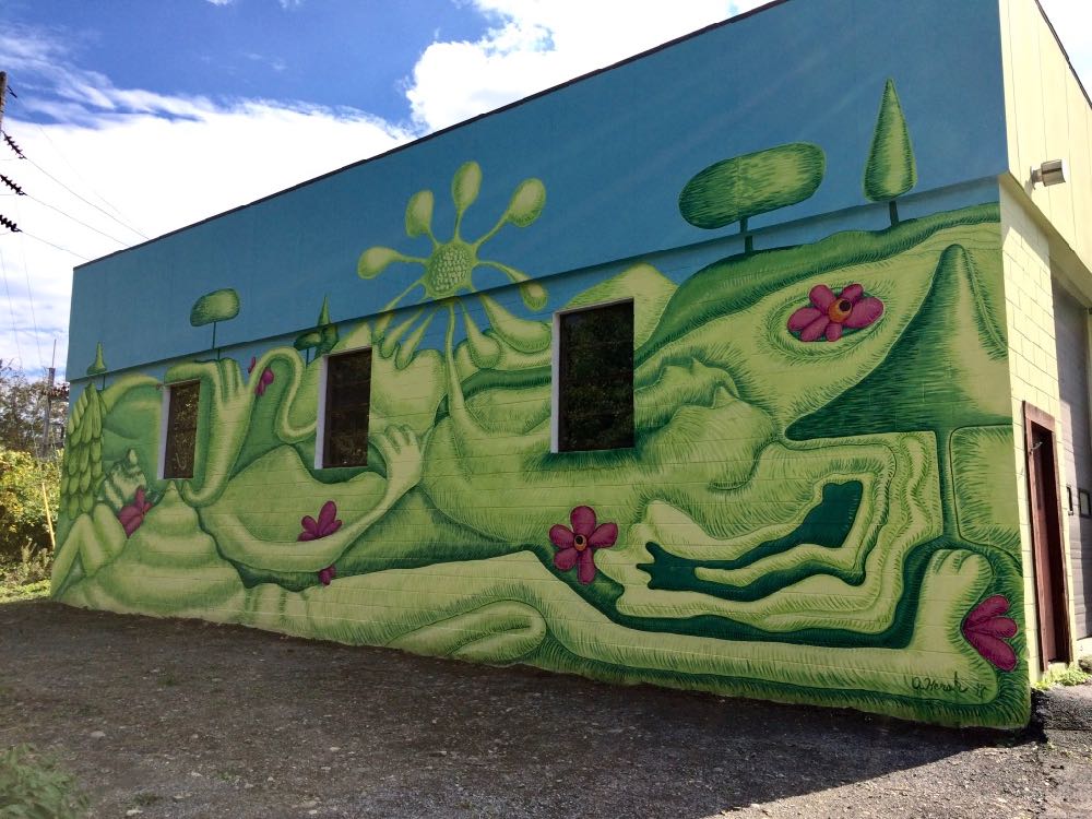 Helderberg-Hudson rail trail mural in Delmar by Andrea Hersh