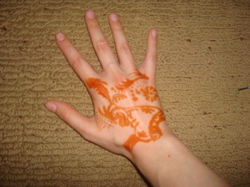 Henna tattoo.jpg