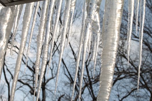 Winter Home Icicles