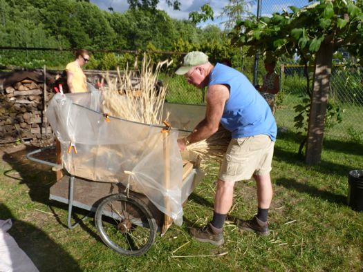 Howard Stoner Harvesting Grain.jpg