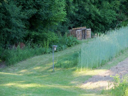 Howard Stoner rye field.jpg