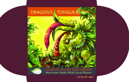 Hudson Valley Seeds - Dragon Tongue