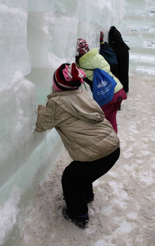 Ice Palace Window Kids