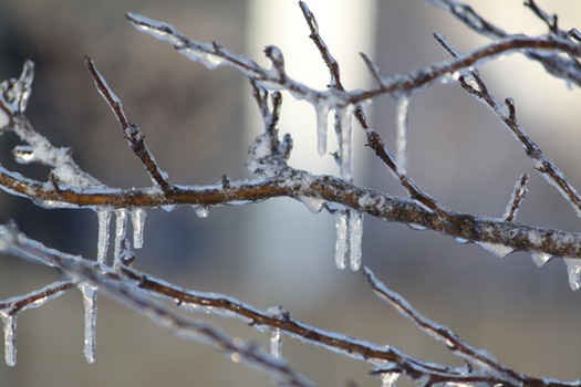 Ice Walk Limb