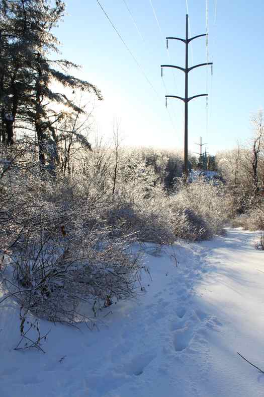 Ice Walk Powerline