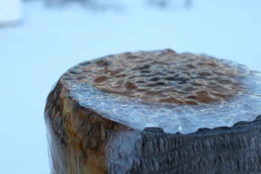 Ice Walk Stump