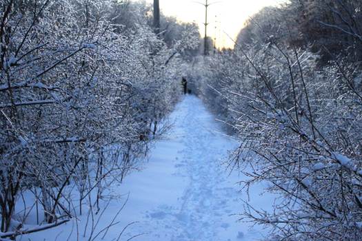 Ice Walk Trail